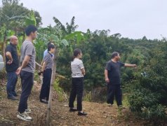 人员聚焦“12＋2”沉点品种运营点